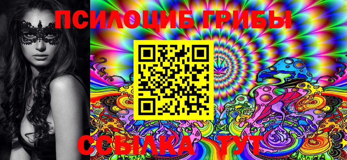 Псилоцибиновые грибы Magic Shrooms  Галлюциногенные грибы Magic Shrooms  где найти   Вход с VPN  Мценск 