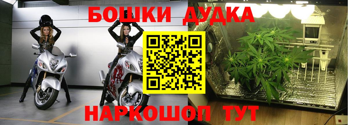 Каннабис LSD WEED  Вход с VPN  Каннабис гибрид  Каннабис OG Kush  Мценск 